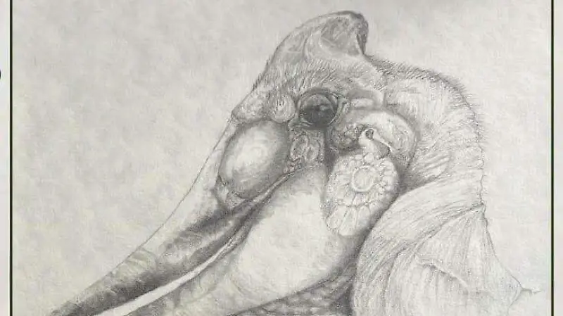 Dibujo que forma parte de esta muestra.